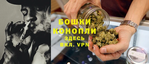 шишки Михайловка