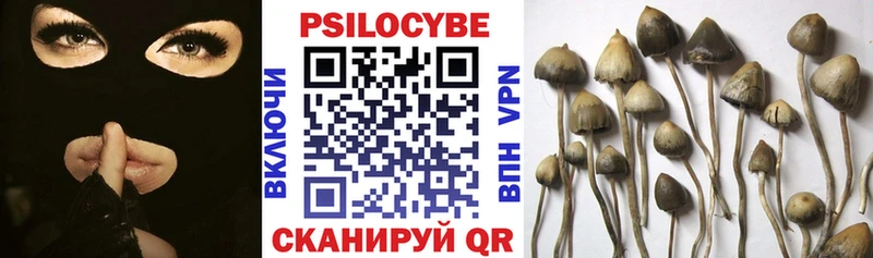 Псилоцибиновые грибы GOLDEN TEACHER  Реутов 